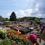 Ferme Houard